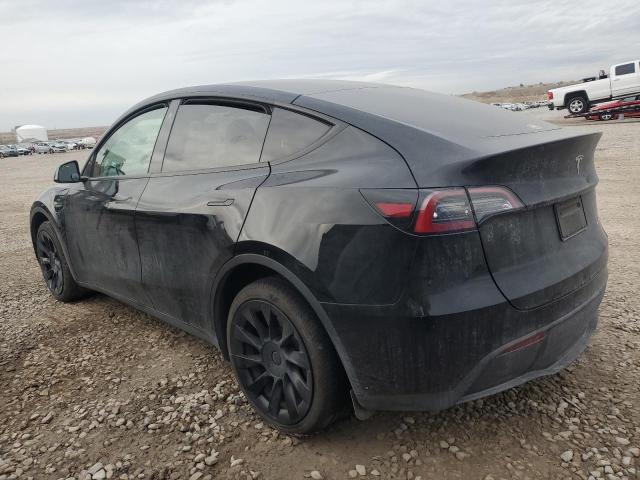  TESLA MODEL Y 2023 Черный