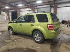 2011 Ford Escape Xlt продається в Lansing, MI - Front End