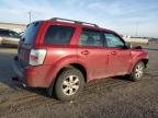 2010 Mercury Mariner  en Venta en Bismarck, ND - Front End