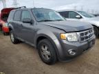 2012 Ford Escape Xlt de vânzare în Elgin, IL - Rear End