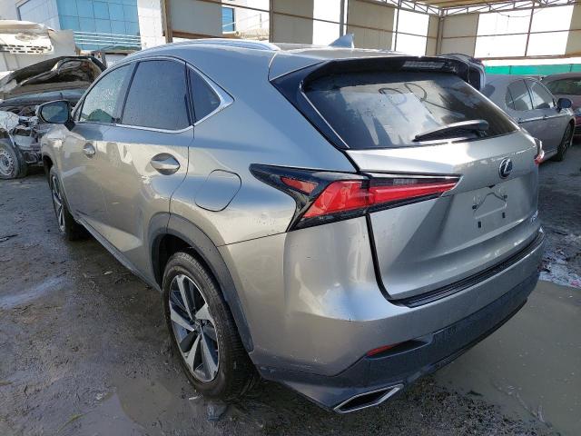 JTJGARBZ2L5012537 - 2020 LEXUS NX 300H - #undefined