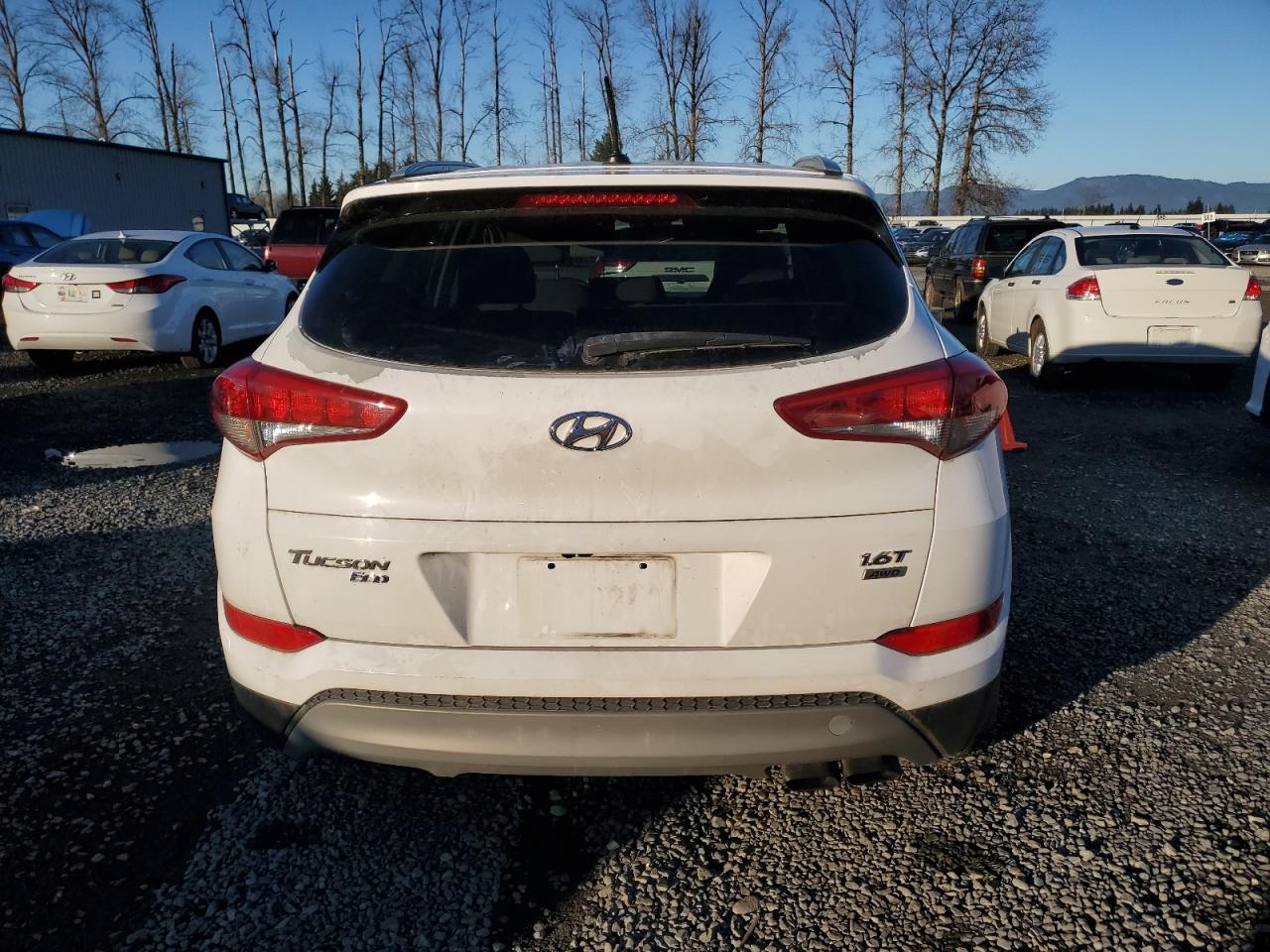 VIN KM8J3CA26HU316516 2017 HYUNDAI TUCSON no.6