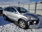 2010 Honda Cr-V Exl на продаже в Littleton, CO - Front End