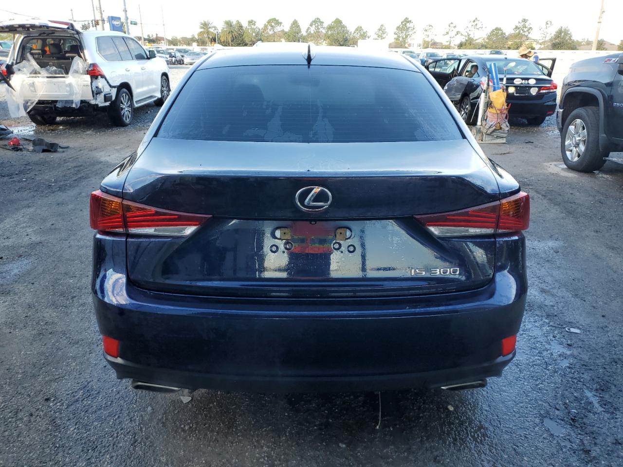2019 Lexus IS - Image 6