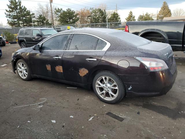  NISSAN MAXIMA 2014 Purple