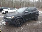 2019 JEEP CHEROKEE TRAILHAWK for sale at Copart ON - COOKSTOWN