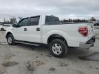 2013 Ford F150 Supercrew na sprzedaż w Orlando, FL - Front End