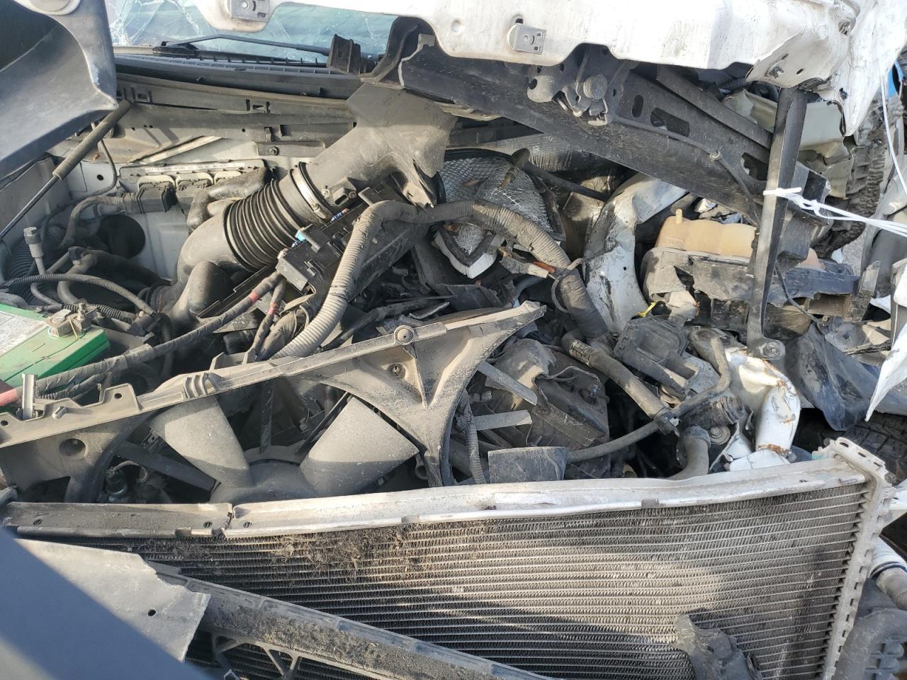 2013 Ford F150 VIN: 1FTMF1CM0DKD3036 Lot: 82747774