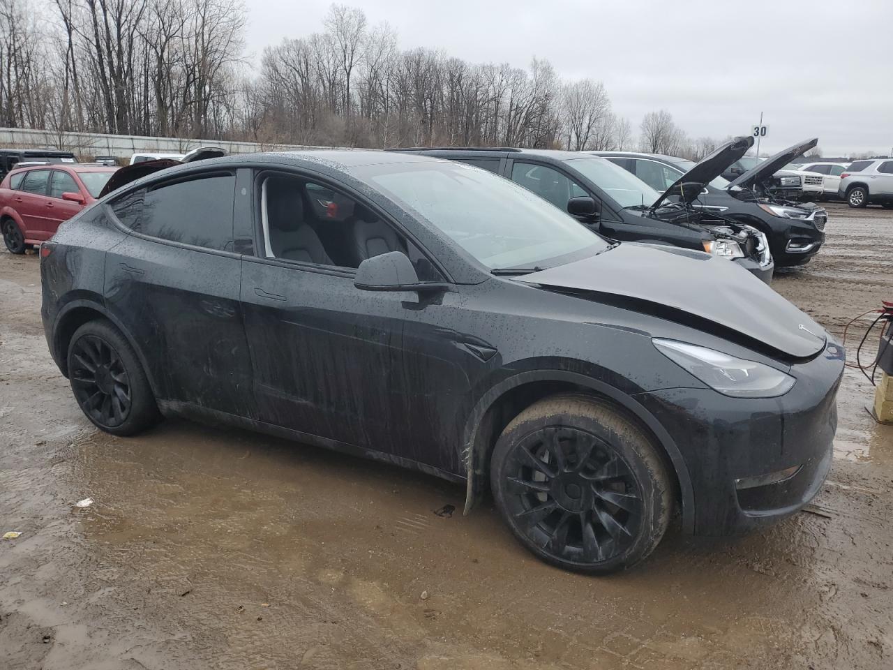 2023 Tesla Model Y VIN: 7SAYGDEE8PA189650 Lot: 85205674