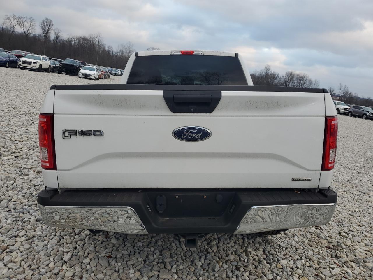 VIN 1FTEX1C84GFC56917 2016 FORD F-150 no.6