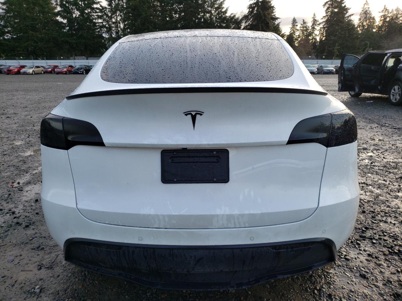 2022 Tesla Model Y VIN: 7SAYGDEE5NF345109 Lot: 83447834