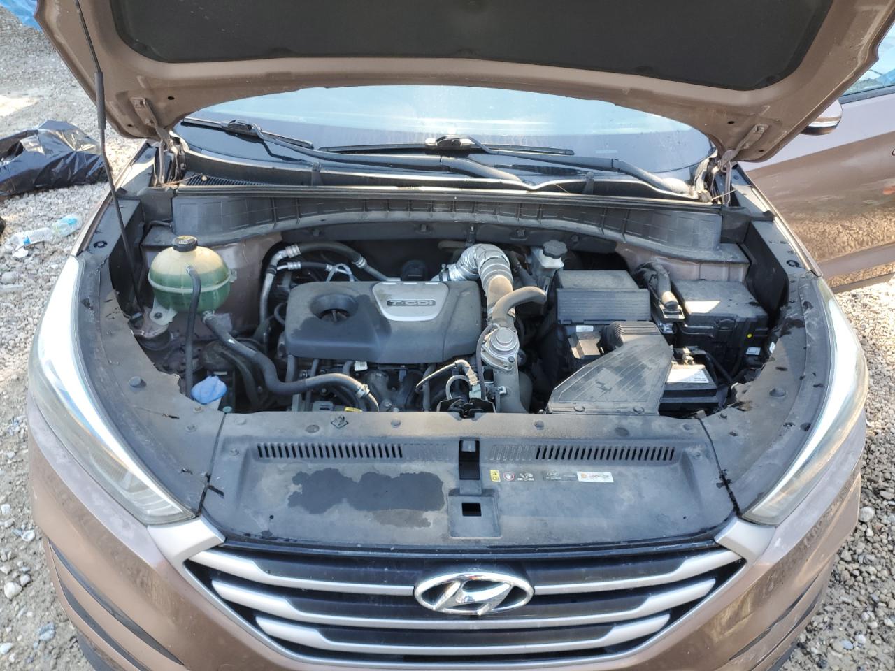 VIN KM8J33A20HU423156 2017 HYUNDAI TUCSON no.12