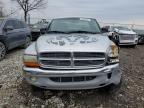 2004 Dodge Dakota Slt for Sale in Cicero, IN - Front End