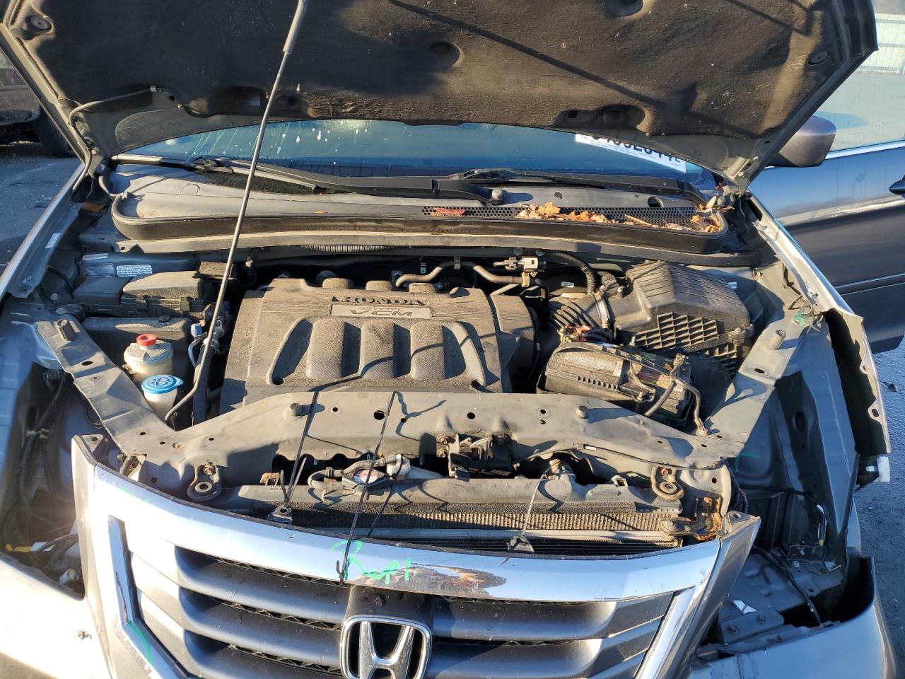 2010 Honda Odyssey Exl VIN: 5FNRL3H68AB038569 Lot: 66615275