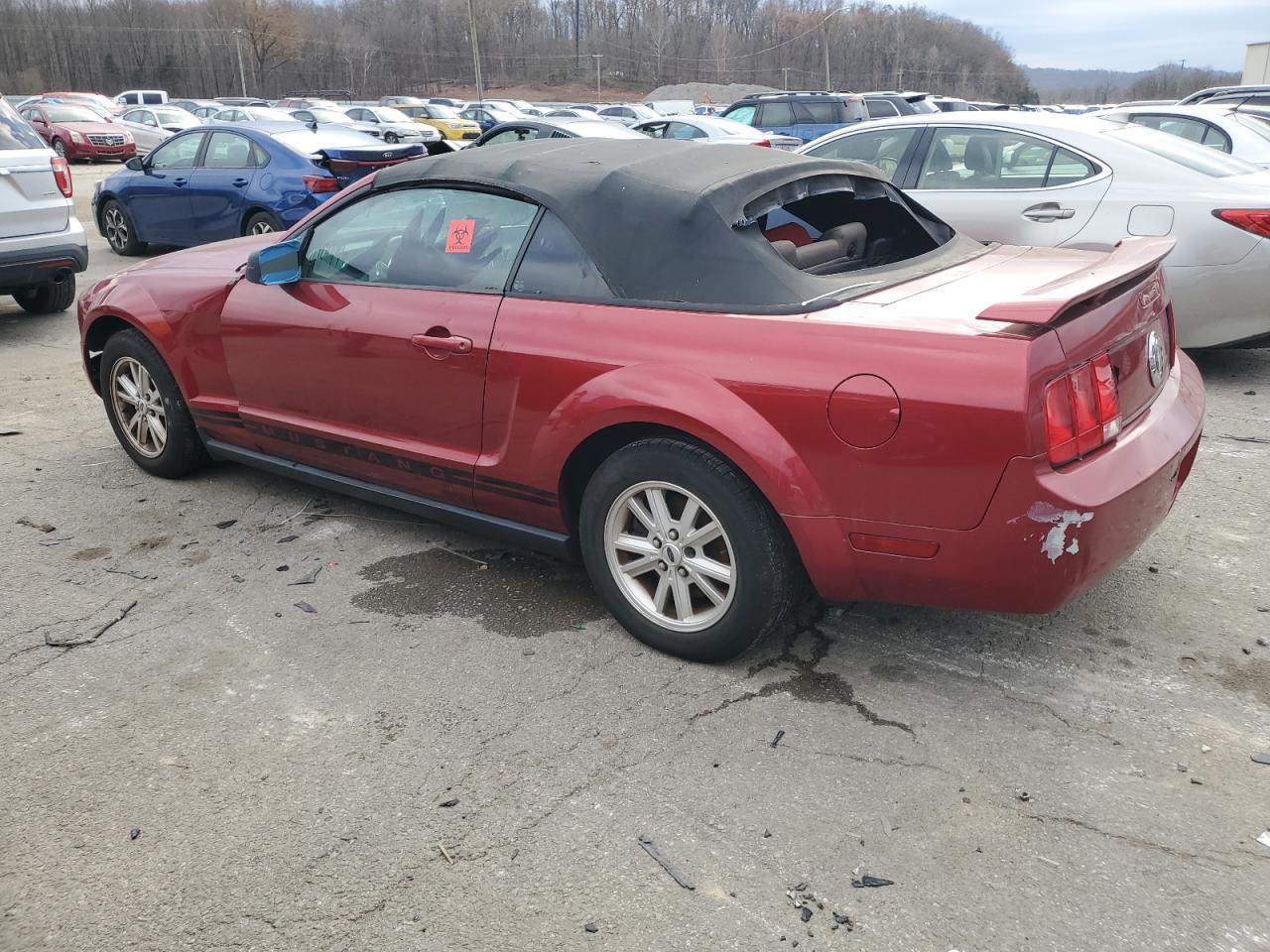 2005 Ford Mustang - Image 2