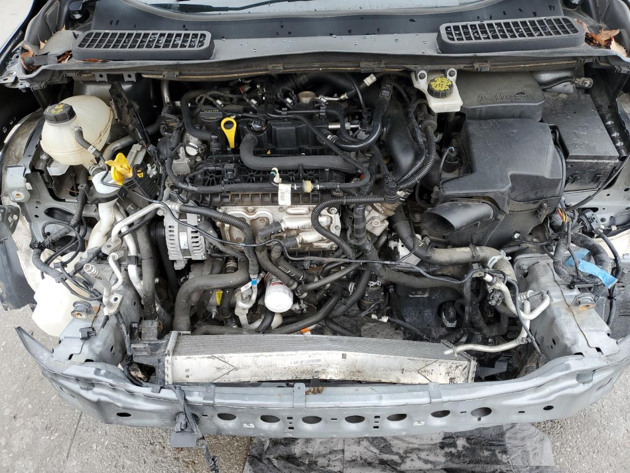 2019 Ford Escape - Image 12