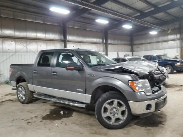 Pickups FORD F-150 2013 Szary