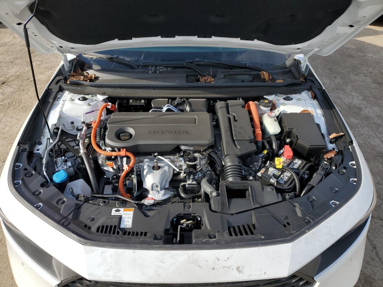 2024 Honda Accord - Image 11