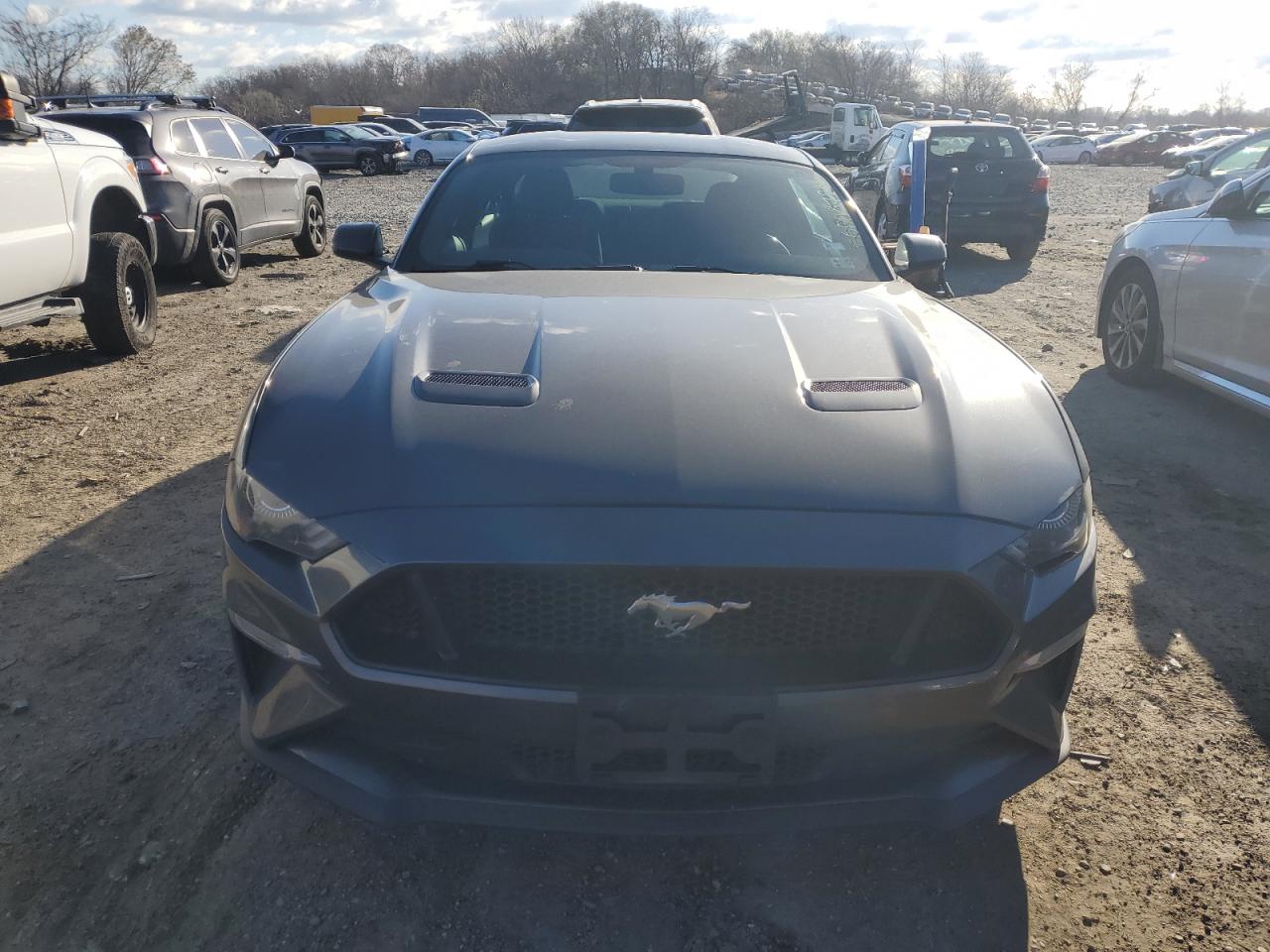 2019 Ford Mustang - Image 5