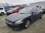 2010 Nissan Maxima S zu verkaufen in Spartanburg, SC - Front End