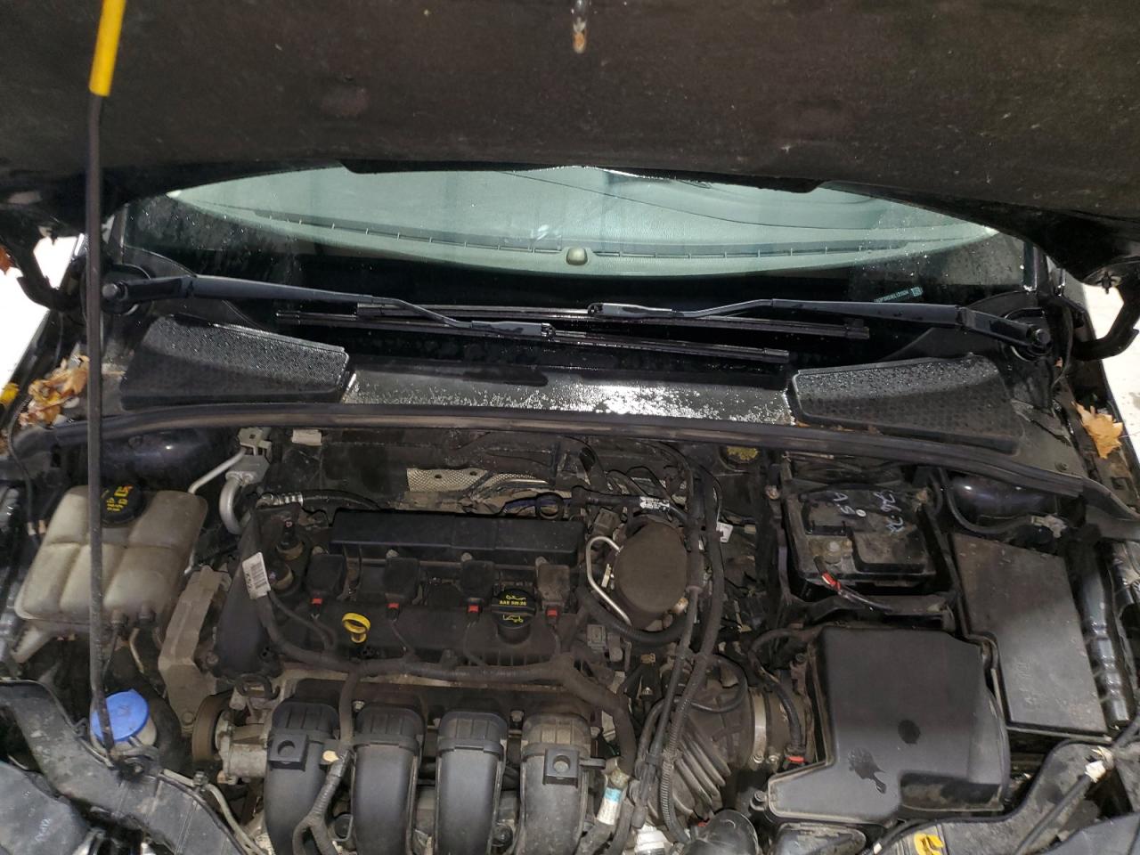 2014 Ford Focus Titanium VIN: 1FADP3N24EL131534 Lot: 90575285