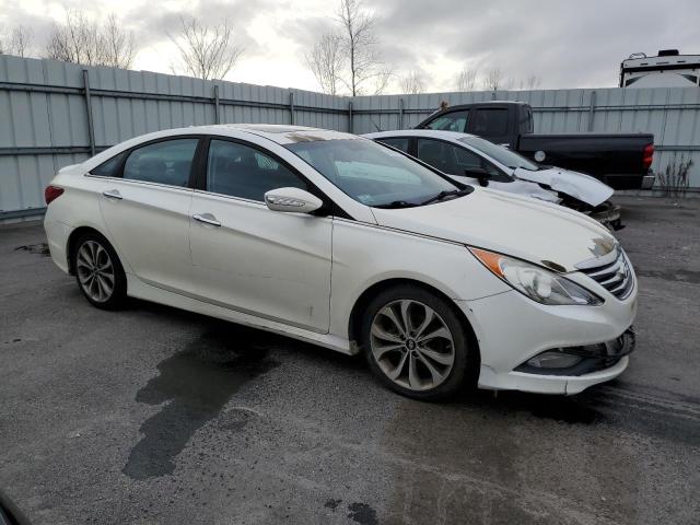  HYUNDAI SONATA 2014 White