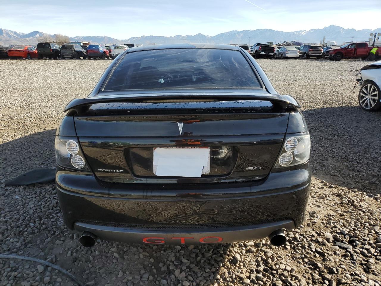 2006 Pontiac Gto VIN: 6G2VX12UX6L532622 Lot: 85578594