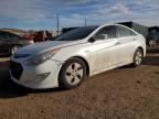 2012 Hyundai Sonata Hybrid zu verkaufen in Colorado Springs, CO - Hail