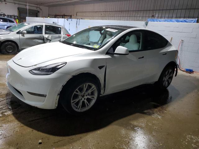  TESLA MODEL Y 2023 Белый