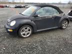 2003 Volkswagen New Beetle Gls за продажба в Arlington, WA - Minor Dent/Scratches