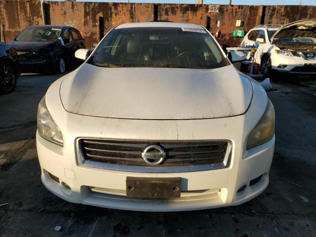 Седаны NISSAN MAXIMA 2013 Белы