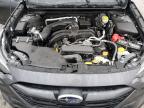 2025 Subaru Outback Premium for Sale in Indianapolis, IN - Side