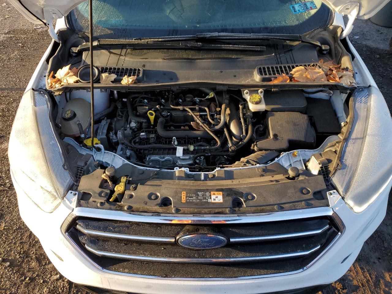 VIN 1FMCU9GD3KUB29260 2019 FORD ESCAPE no.12