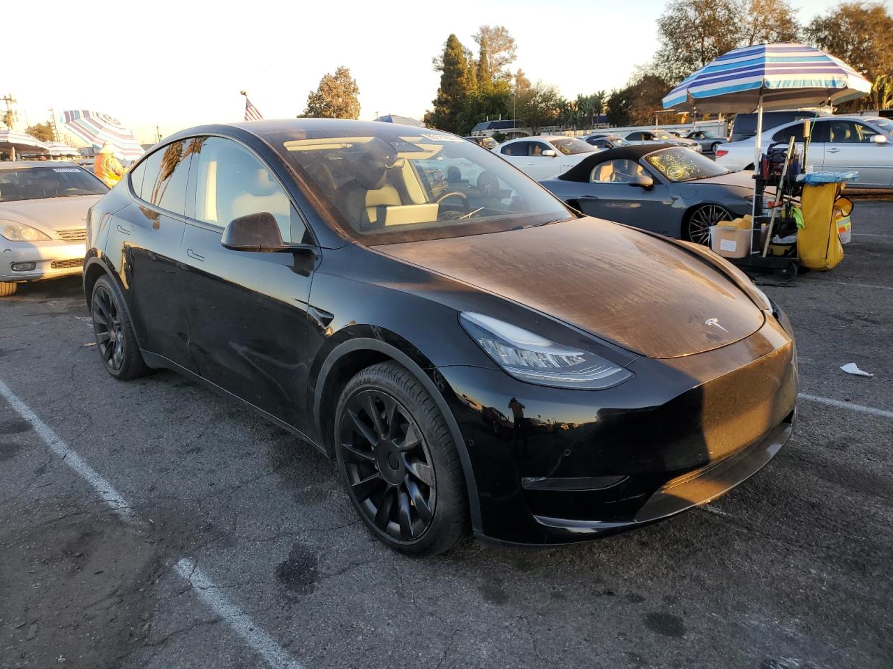 2020 Tesla Model Y VIN: 5YJYGDEE6LF059537 Lot: 85111954