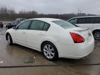 Louisville, KY에서 판매 중인 2008 Nissan Maxima Se - Front End