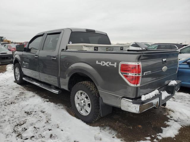  FORD F-150 2012 Сірий