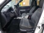 2010 Ford Escape Xlt за продажба в Kincheloe, MI - Front End