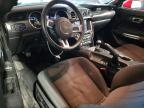 2019 Ford Mustang  for Sale in Pennsburg, PA - Rear End