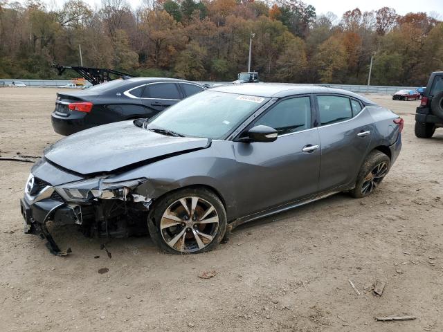 Sedans NISSAN MAXIMA 2016 Gray