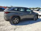 2024 Hyundai Tucson Se на продаже в Opa Locka, FL - Front End