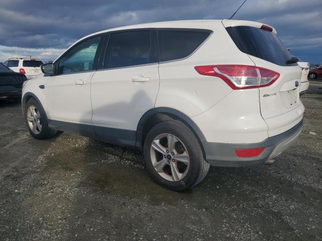  FORD ESCAPE 2016 Белы