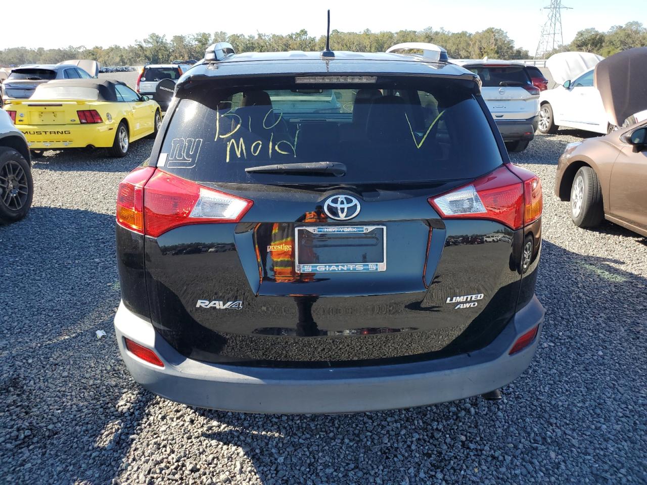 2015 Toyota RAV 4 - Image 6