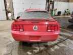 2005 Ford Mustang  zu verkaufen in Anchorage, AK - All Over