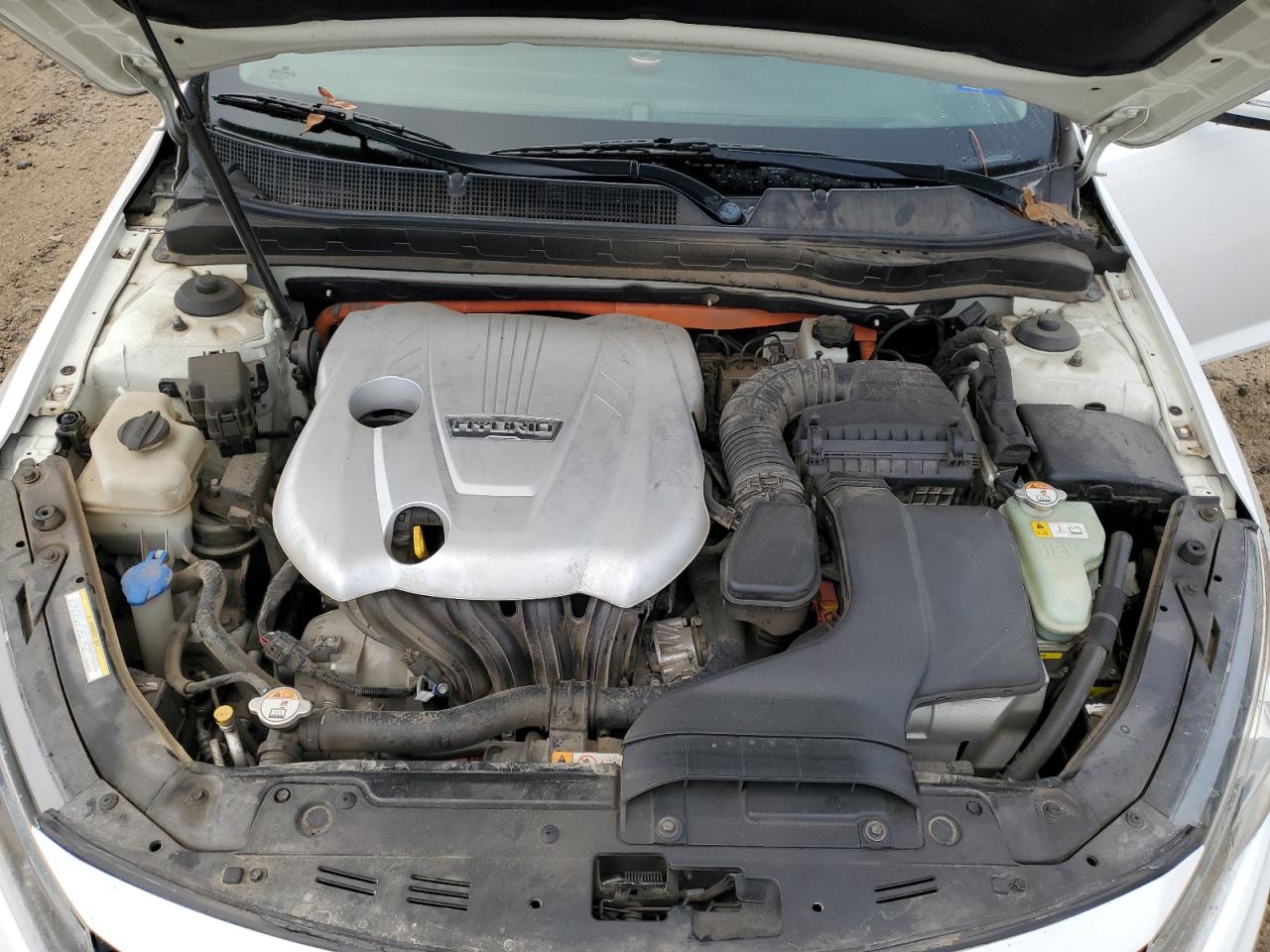 2012 Kia Optima Hybrid VIN: KNAGM4ADXC5031238 Lot: 83651514