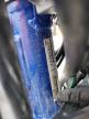 1996 YAMAHA XT225  for sale at Copart IA - DES MOINES