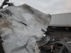 2024 Stou 53 Trailer for Sale in Earlington, KY - Burn
