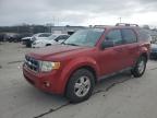 2010 Ford Escape Xlt for Sale in Lebanon, TN - Front End