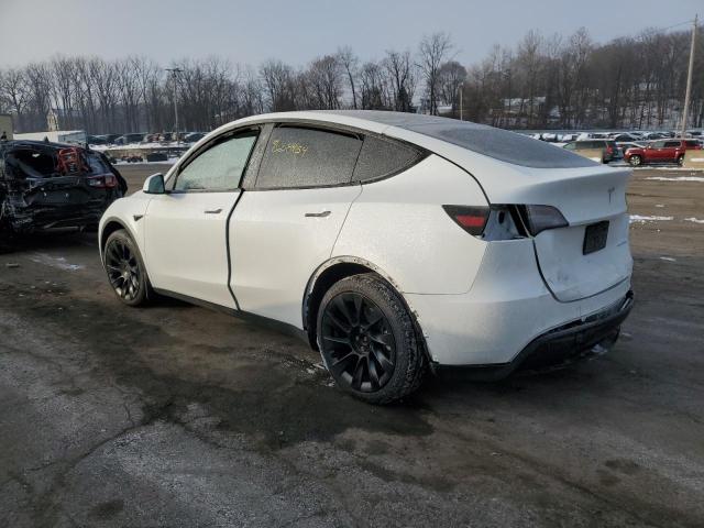  TESLA MODEL Y 2021 Белы