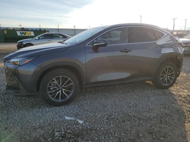 2024 Lexus Nx 350H Base