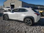 2022 Lexus Ux 200 Base zu verkaufen in Lawrenceburg, KY - Front End